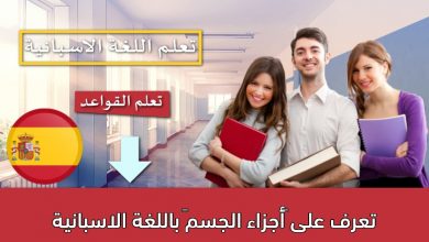 تعرف على “أجزاء الجسم” باللغة الاسبانية