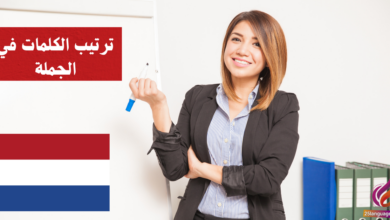 ترتيب الكلمات في الجملة في اللغة الهولندية